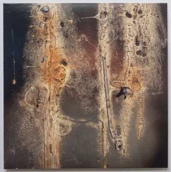 3CD/Caja Michael Prime: Bioelectrical Music