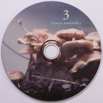 3CD/Caja Michael Prime: Bioelectrical Music