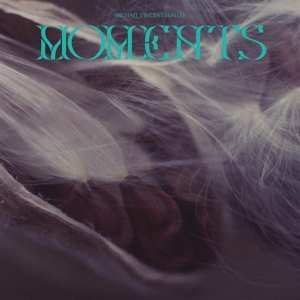 CD Michael Vincent Waller: Moments