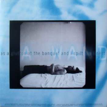 2LP Mick Jagger: Wandering Spirit