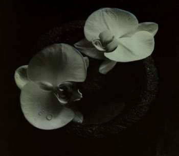 Album Mike Patton: Corpse Flower