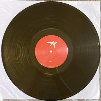 LP Milly: Your Own Becoming LTD