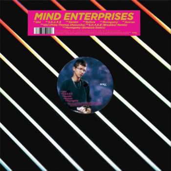 LP Mind Enterprises: Panorama