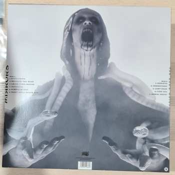 LP Mirrors: The Ego's Weight LTD | CLR