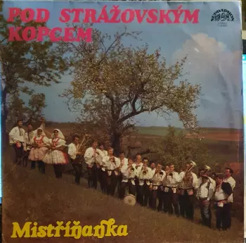 Pod Strážovským Kopcem