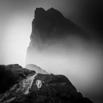 מזמור: Alluvion