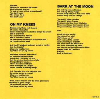 CD MJ Lenderman: Manning Fireworks