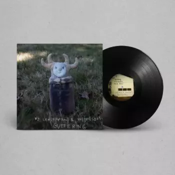 MJ Lenderman: Guttering