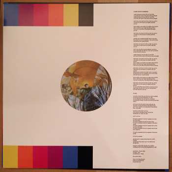 LP Modest Mouse: Night On The Sun