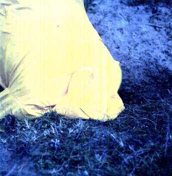 LP Mollono.Bass: My Hidden Playground