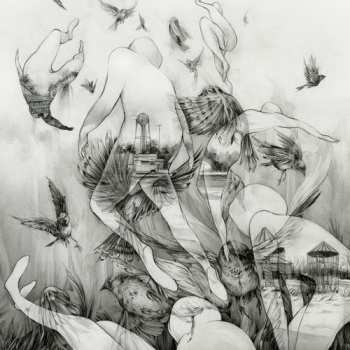 CD Mono: The Last Dawn