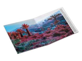 LP Montparnasse Musique: Archeology