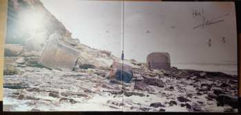 LP/CD Mooneye: Big Enough CLR | LTD