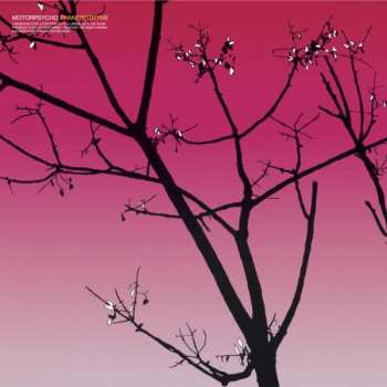 LP Motorpsycho: Phanerothyme