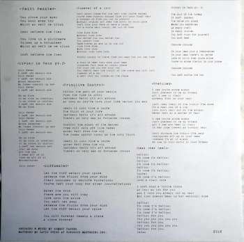 LP Mountain Tamer: Godfortune - Dark Matters LTD | CLR