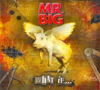 LP/CD/DVD/Caja Mr. Big: What If... DLX | DIGI