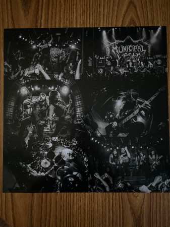 LP Municipal Waste: Electrified Brain CLR | LTD