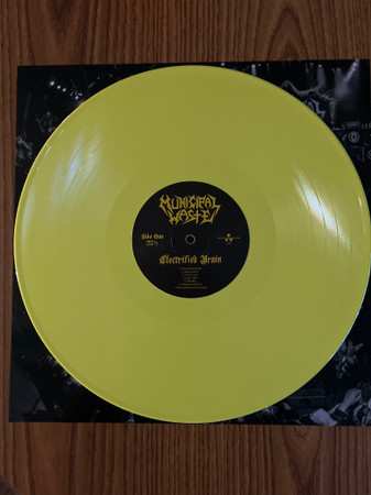 LP Municipal Waste: Electrified Brain CLR | LTD
