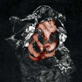 Album My Lonely Sea: Gloom