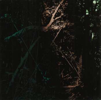 CD Nada Surf: The Stars Are Indifferent To Astronomy