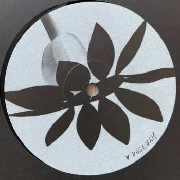 LP Nathan Dawidowicz: FLUFF