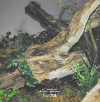 CD/Caja NCT Dojaejung: Perfume