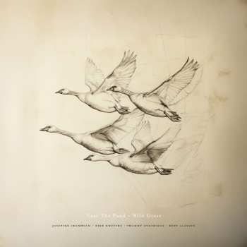 Album Josefine Cronholm: Near The Pond ~ Wild Geese