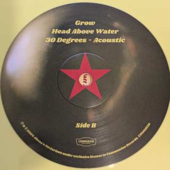 LP Nectar Woode: Head Above Water CLR