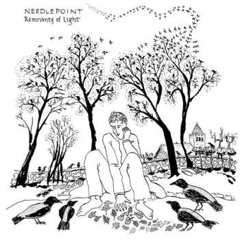 CD Needlepoint: Remnants of Light