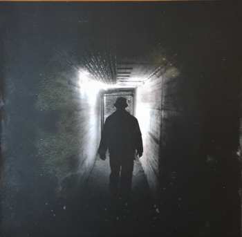 2LP Neil Young: Noise & Flowers