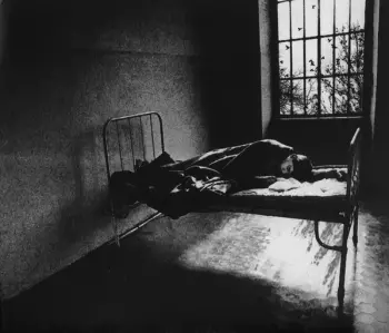 Neronoia: Mi Piaceva Una Vita