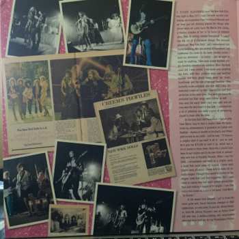 2LP New York Dolls: A Hard Night's Day (Unsigned! Unhinged! Legendary 1973 Studio Demos) CLR