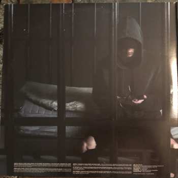 2LP NF: Perception 