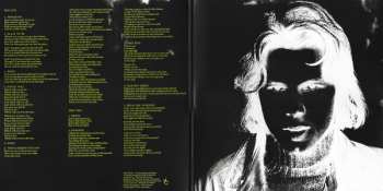 LP Nick Drake: Pink Moon