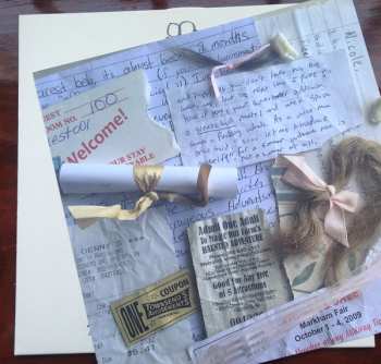 LP Nicole Dollanganger: Ode To Dawn Wiener: Embarrassing Love Songs