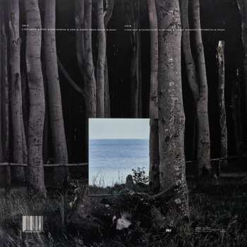 LP Niklas Paschburg: Oceanic