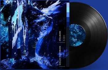 LP Niklas Paschburg: Svalbard