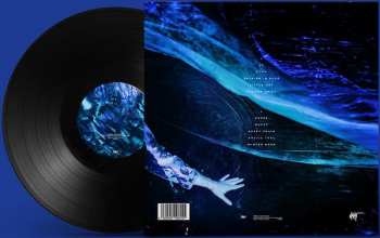 LP Niklas Paschburg: Svalbard