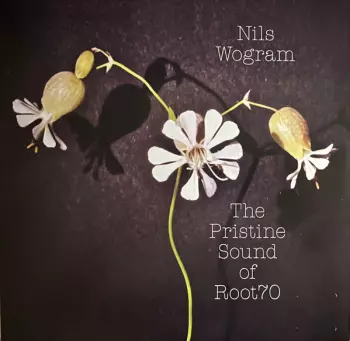 The Pristine Sound Of Root 70