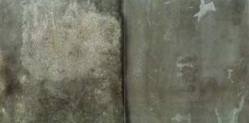 CD Nine Inch Nails: Further Down The Spiral