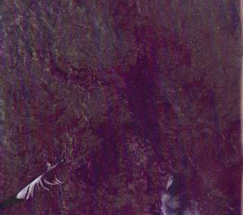 CD Nine Inch Nails: The Downward Spiral