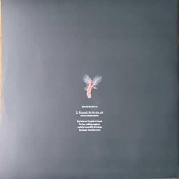 LP Noah Vanden Abeele: Magnolia