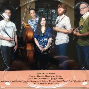 CD Noah Wall: Down Home Blues