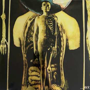 2LP Nocturnal Emissions: Cathedral CLR | LTD