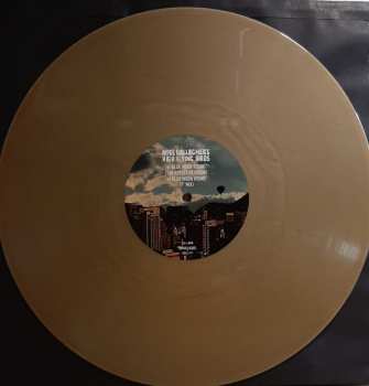 LP Noel Gallagher's High Flying Birds: Blue Moon Rising CLR | LTD