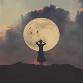 CD Noel Gallagher's High Flying Birds: Who Built The Moon?