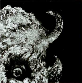 CD Noneuclid: Metatheosis LTD