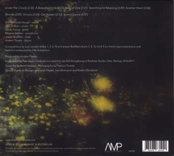 CD Nordic Circles: Under The Clouds