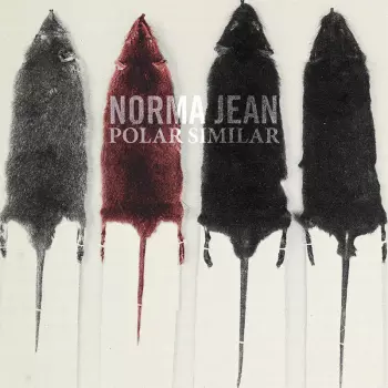Polar Similar