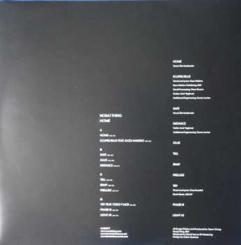 2LP Nosaj Thing: Home